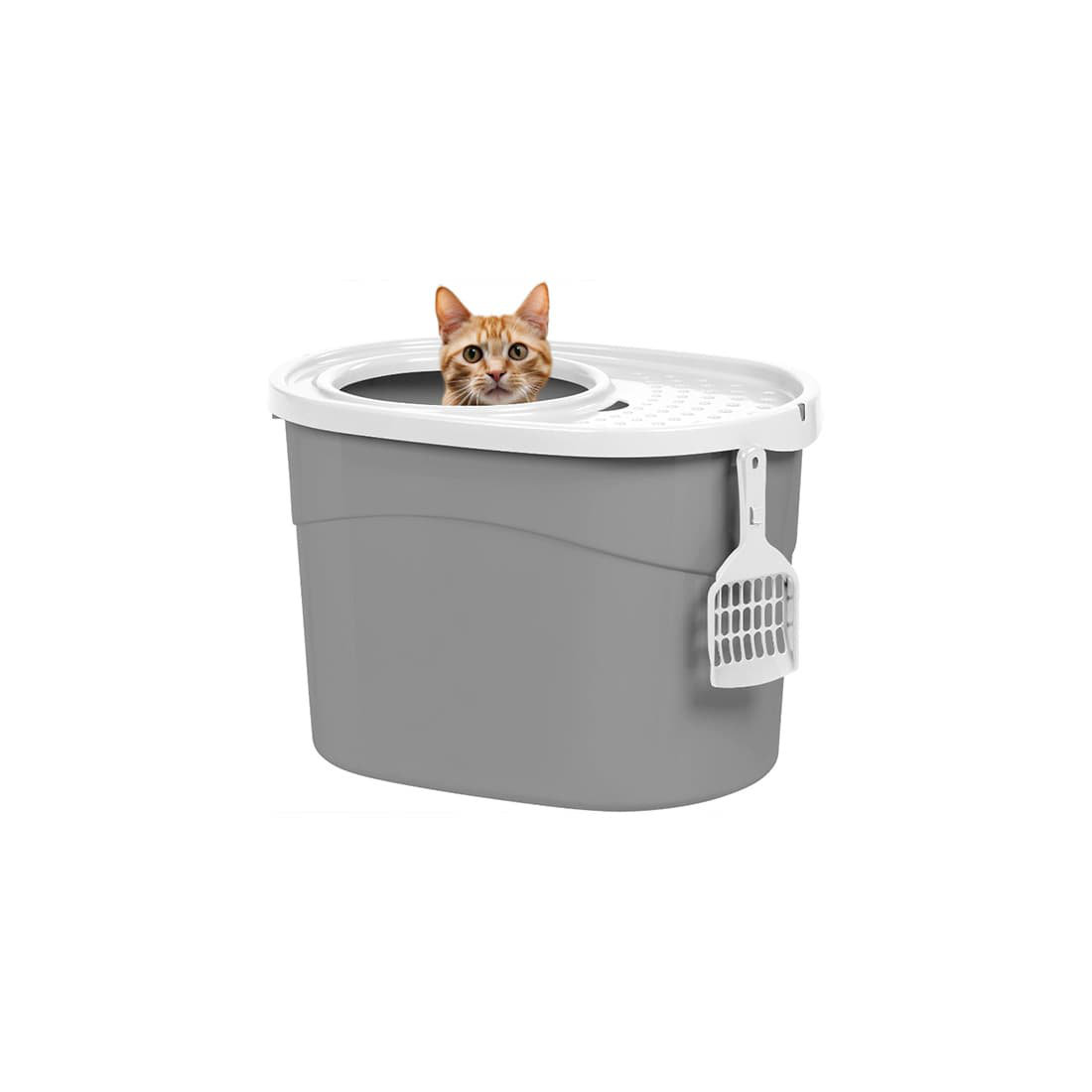 Oval Top Open Entry Litter Box with Spoon Litter Tray with Litter Lid Tucker Murphy Pet